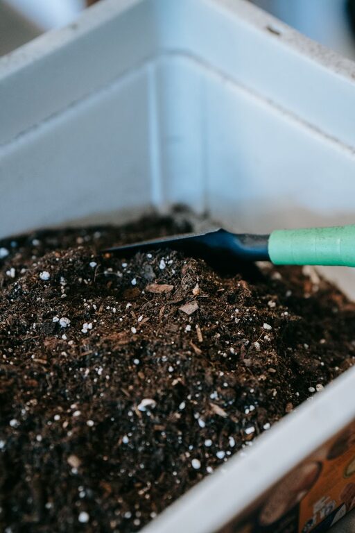Beginner Tips for Composting at Home: Easy Ways to Start Your Eco-Friendly Journey